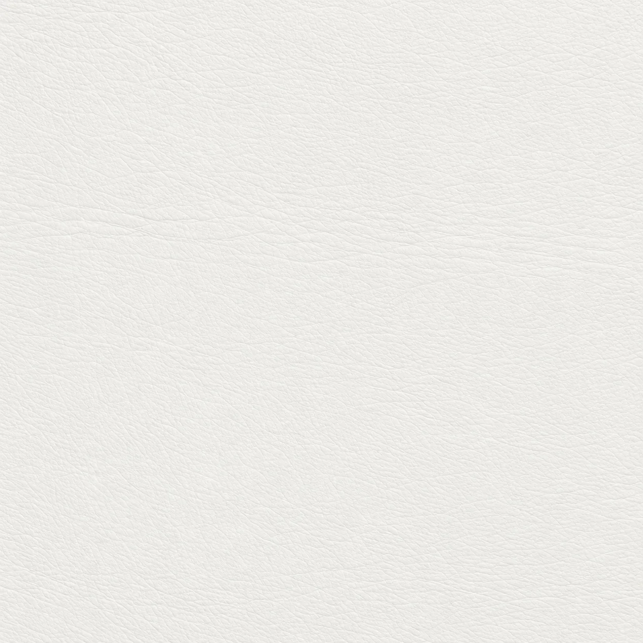 White · Leather · WT4037-55 finish swatch